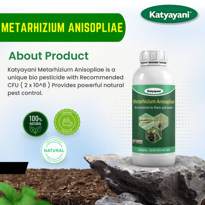 Katyayani Metarhizium anisopliae Bio pesticide about product