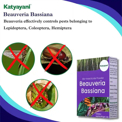 Katyayani Beauveria Bassiana Bio Insecticide Powder for insect
