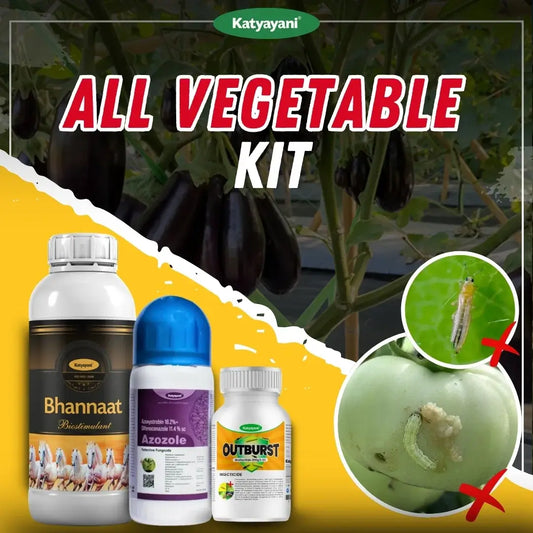 Katyayani All Vegetable Kit