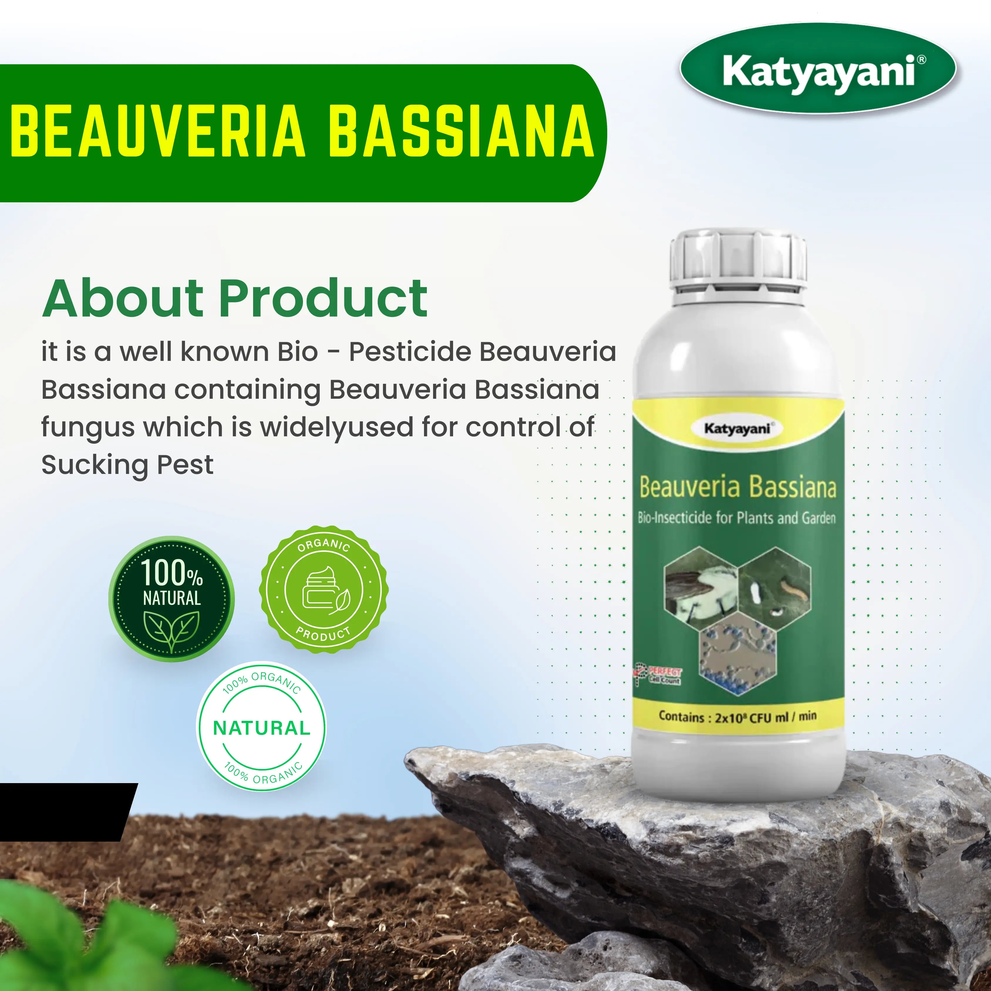 Buy Beauveria Bassiana Bio Pesticide | Control Cotton Whitefly | COD