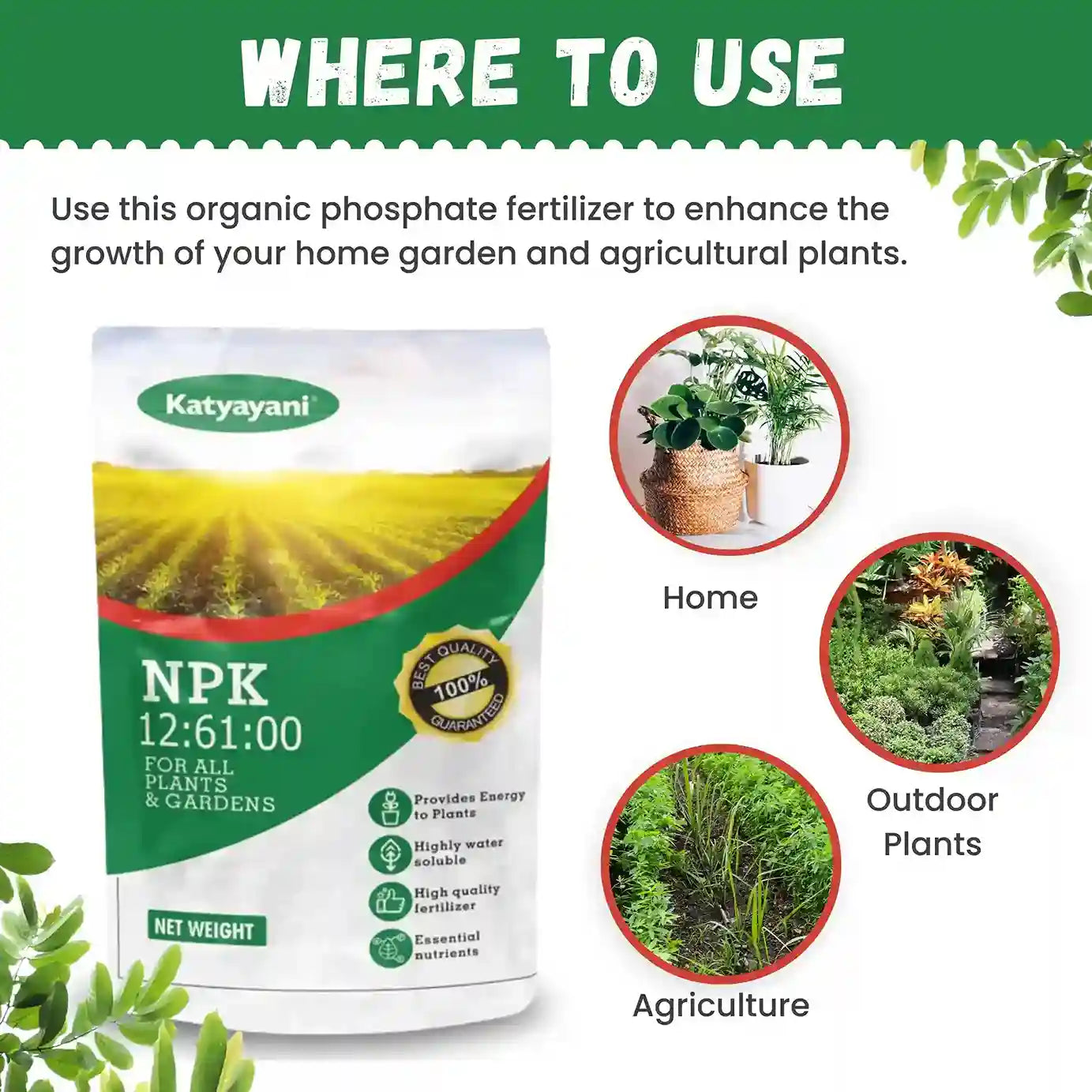 Katyayani NPK 12 61 00 | Fertilizer about