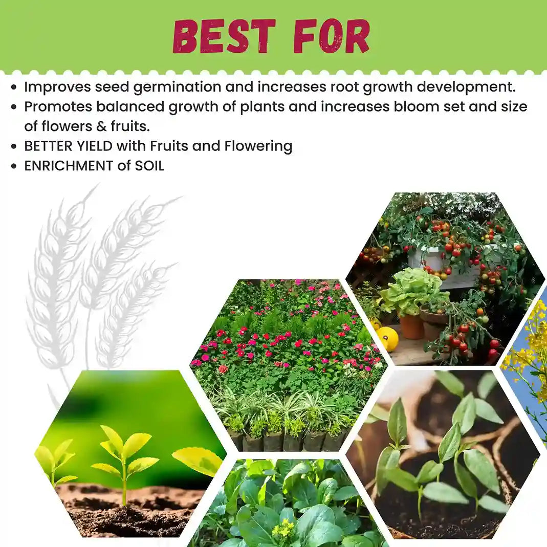 Katyayani Mix Micro Nutrient | Super for Home Garden, Nursery and Agriculture use | Fertilizer