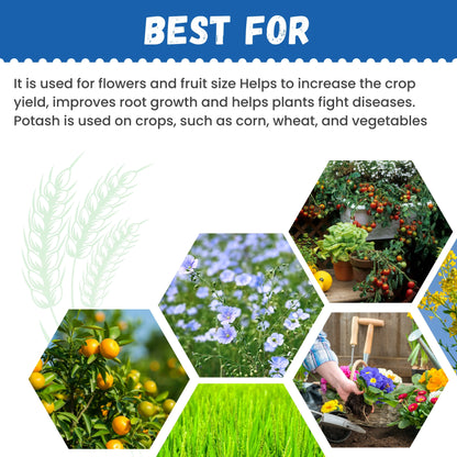 Katyayani Organic potash fertilizer | Organic Fertilizer For Crops
