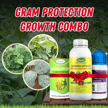 Gram Protection + Growth Combo