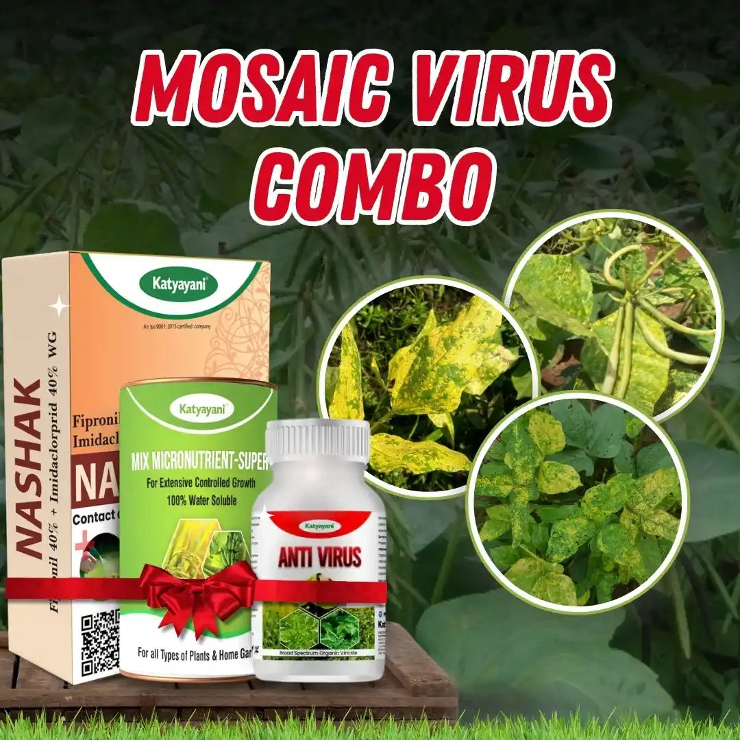 Mosaic virus Combo