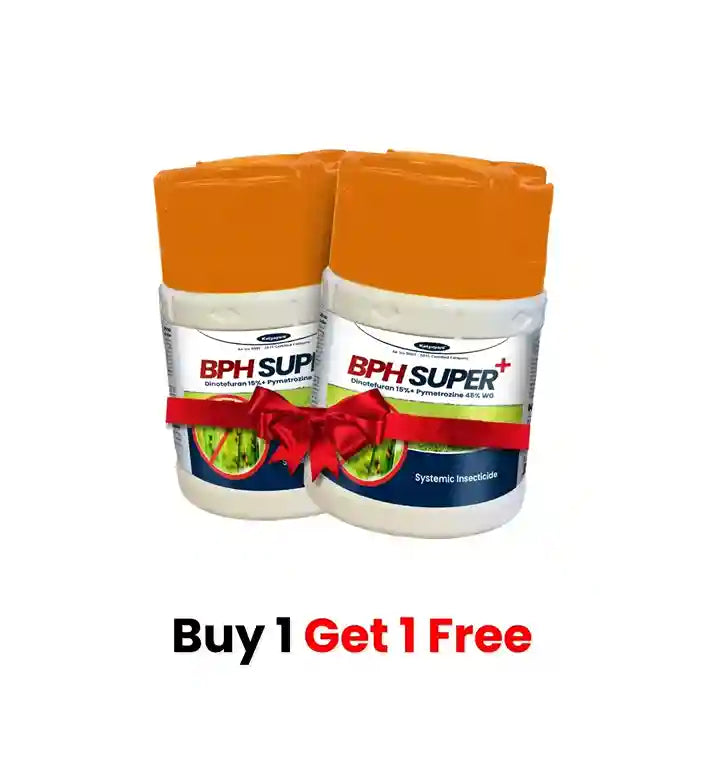 Best Offers! Buy BPH Super+ Insecticide for Paddy | 1+1 free 