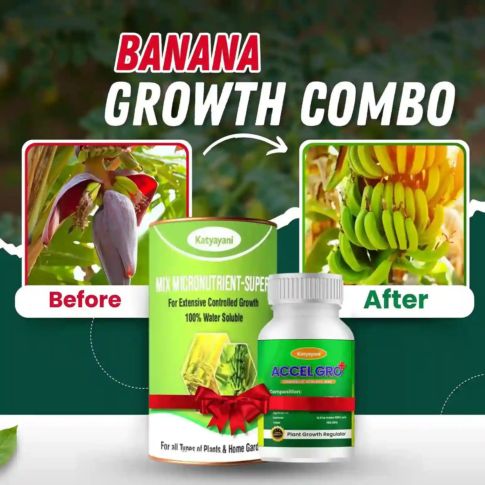 Katyayani Banana growth combo