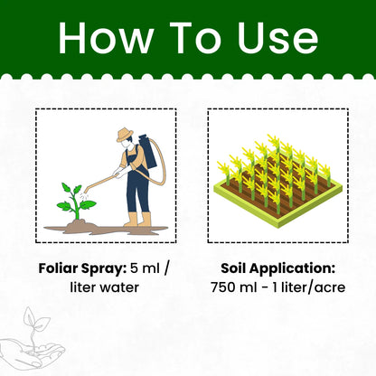 Katyayani Bhasam | Beauveria Bassiana Bio pesticide | Dosage