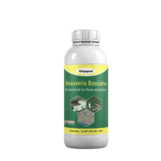 Buy Beauveria Bassiana Bio pesticide | Control cotton whitefly | COD