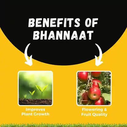 Katyayani Bhannaat | Plant Growth Regulator improves flowering & fruit quality