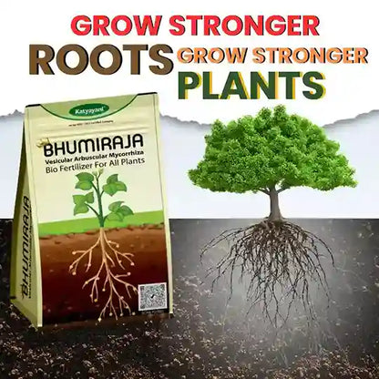 KATYAYANI BHUMIRAJA | MYCORRHIZA | BIO FERTILIZER