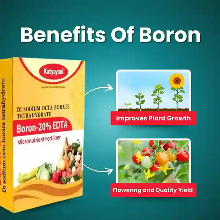 Katyayani Boron 20% EDTA | Chemical Fertilizer improves plant growth