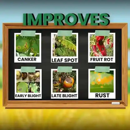 COC 50 Fungicide improve early blight and rust