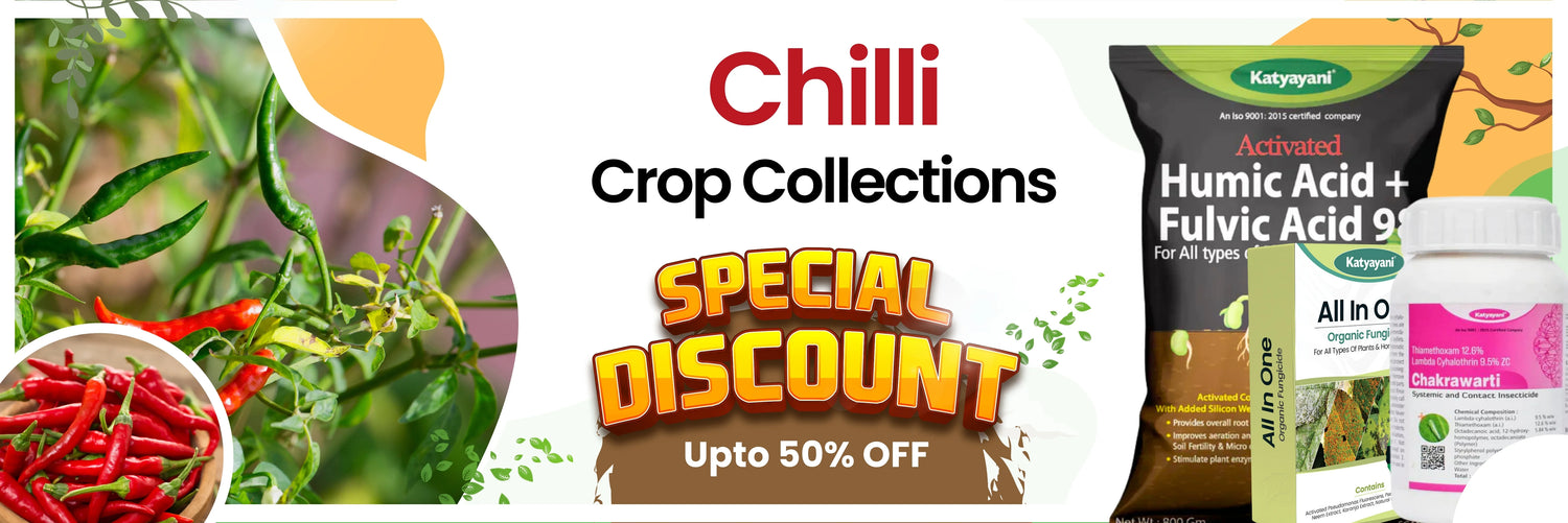 Chili crop collection 