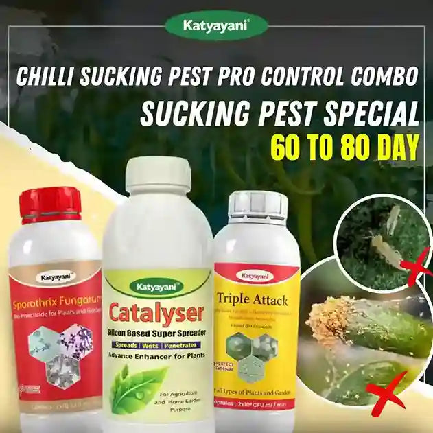 Katyayani Chilli Sucking Pest Pro Control Combo | 60-80 Days