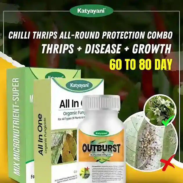 Katyayani Chilli Thrips All-Round Protection Combo | 60-80 Days