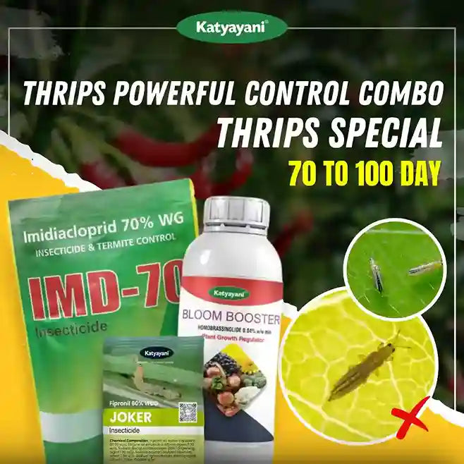 Katyayani Chilli Thrips Powerful Control Combo | 70-100 Days