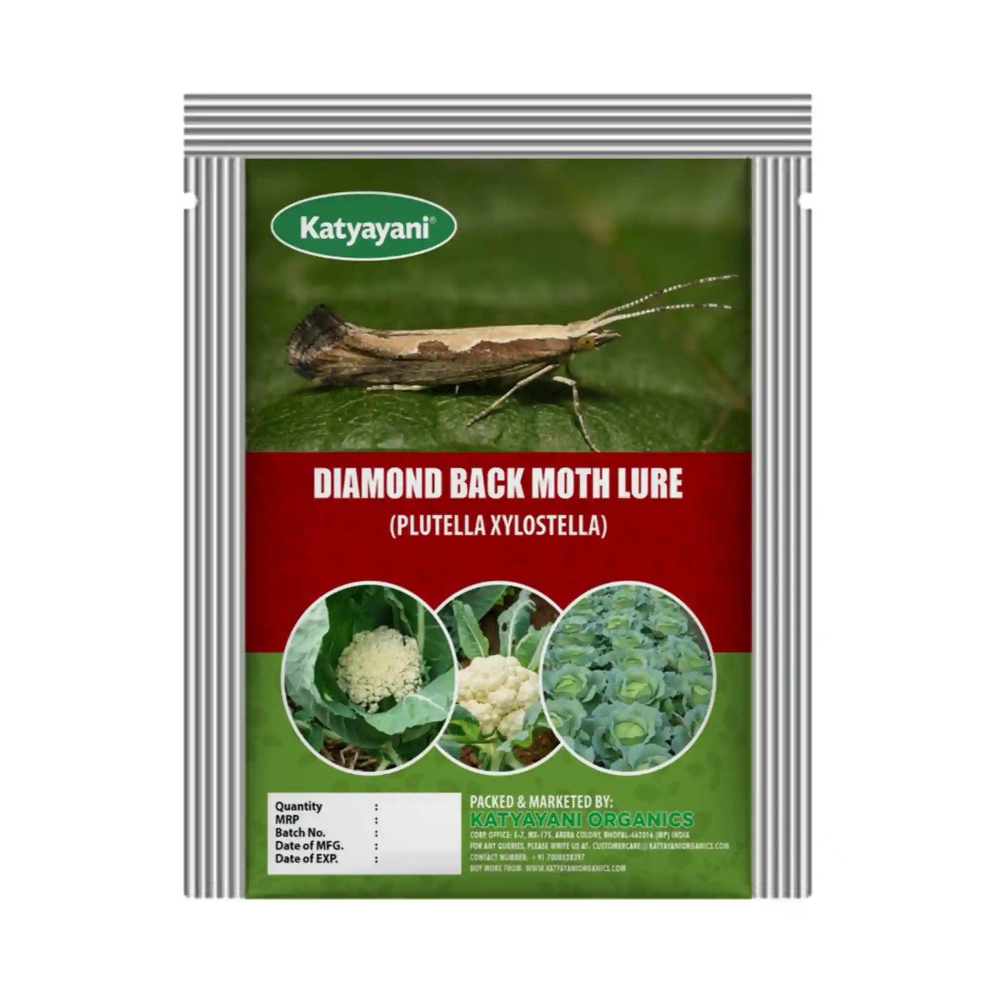 katyayani Diamond Back Moth Lure (PLUTELLA XYLOSTELLA)