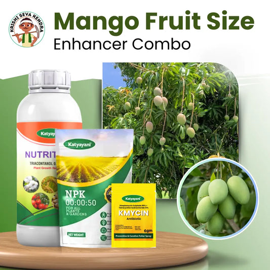 MANGO FRUIT SIZE ENHANCER COMBO (Kmycin 30gm + Nutritious 1 lit + NPK 00 00 50 2kg)