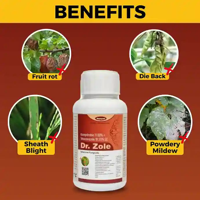 Katyayani Dr. Zole |  Azoxystrobin 11% + Tebuconazole 18.3% SC | Chemical Fungicide for fruit rot, sheath blight and die back