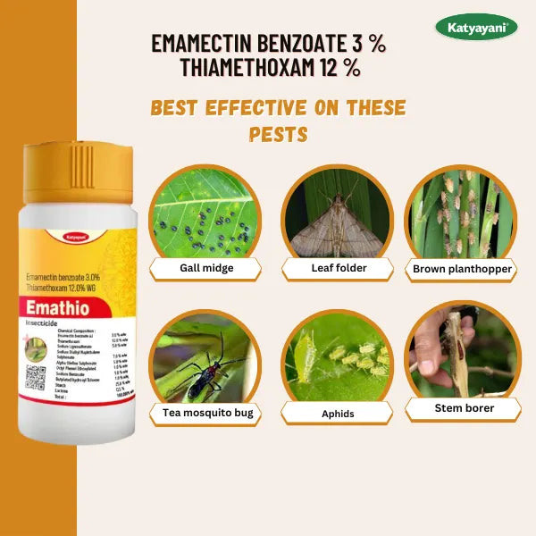 KATYAYANI EMATHIO | EMAMECTIN BENZOATE 3% + THIAMETHOXAM 12% SG | CHEMICAL INSECTICIDE for pests like aphids, leaf folder