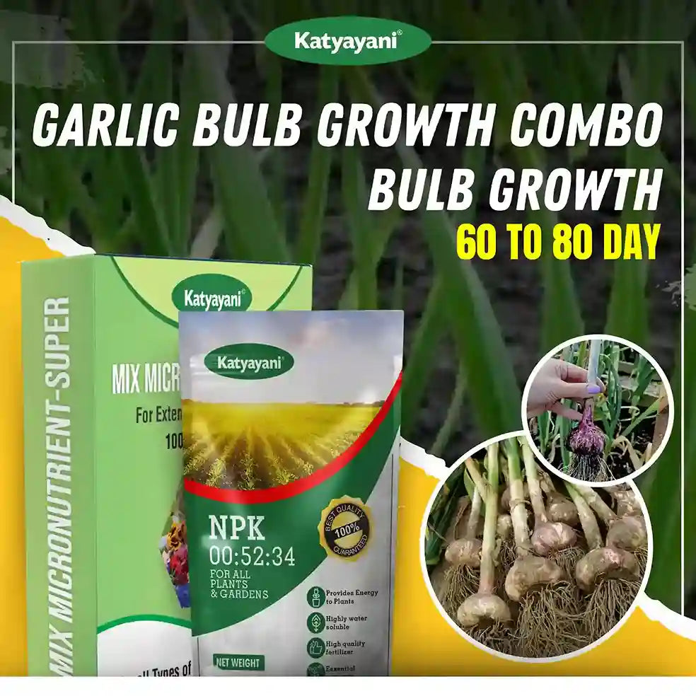 Katyayani Garlic Bulb Growth Combo (60-80 Days)