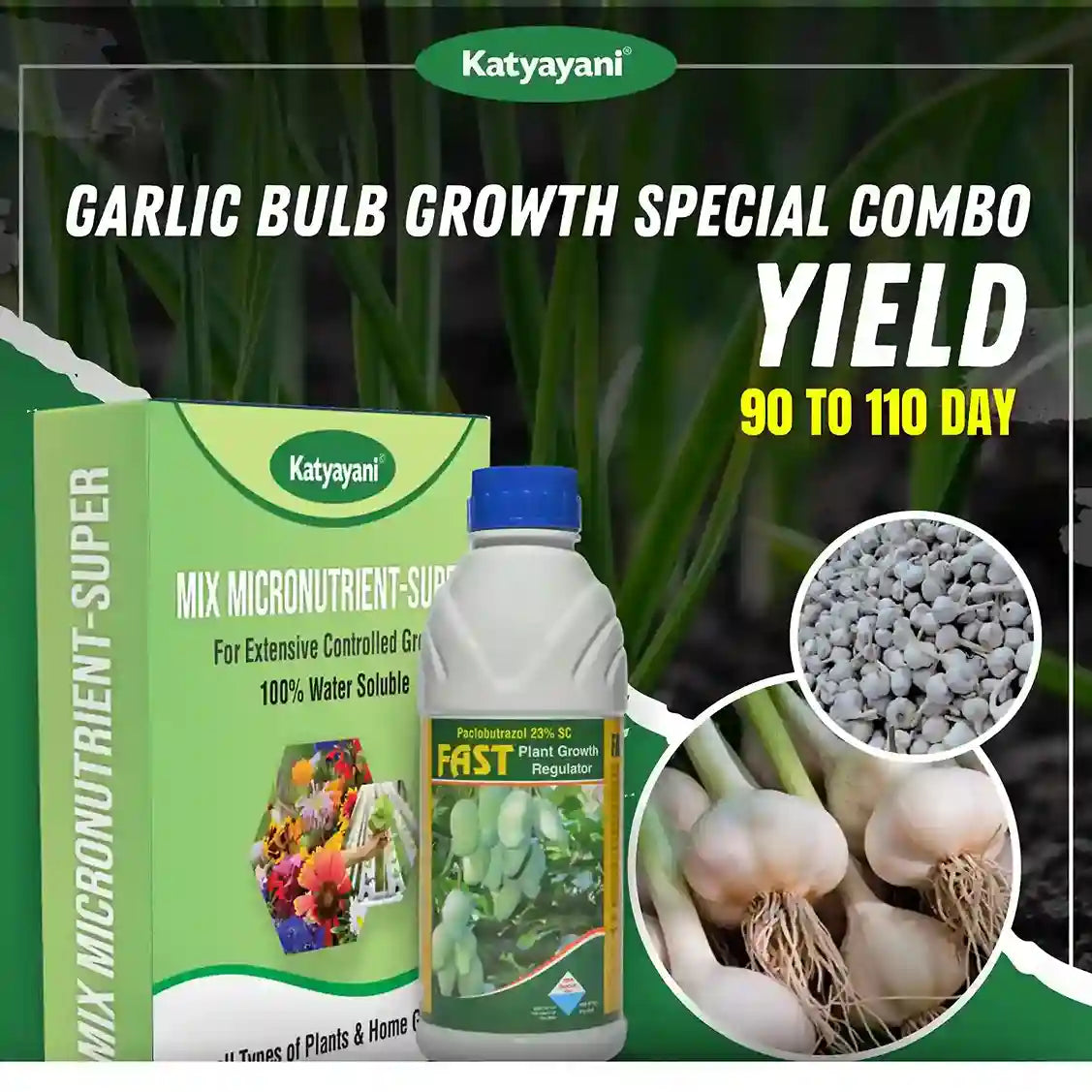 Katyayani Garlic Bulb Special Combo (90-110 Days)