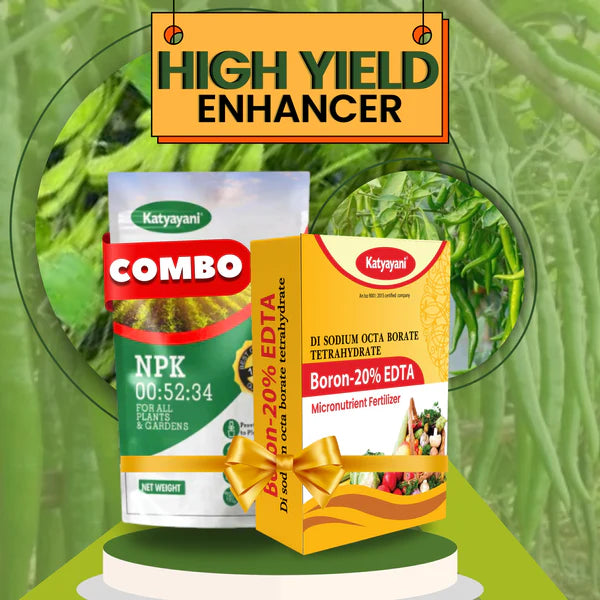 Katyayani High yield Enhancer Combo | NPK 00 52 34 (1KG) and Boron 20% EDTA Fertilizer (200GM)