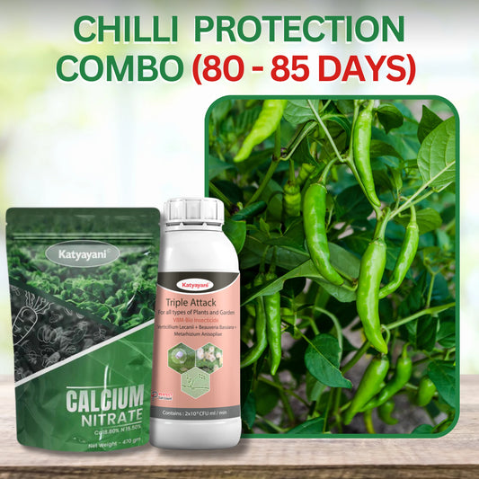 Katyayani Chilli Protection + Growth Kit ()-(80-85 days)(Triple Attack(2000 ml) +Calcium Nitrate(940 gm))