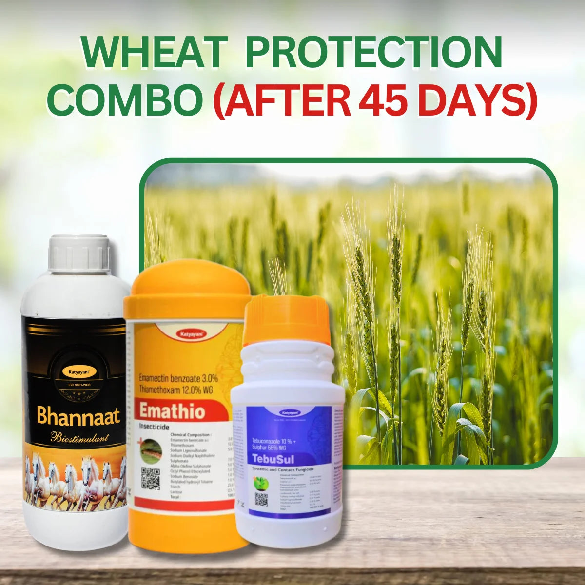 Katyayani  Wheat Protection Kit After 45 Days- Bhannat (250 ml x 1)+ TEBUSUL(500gm x 1) +  Emathio (100gm x 2) + mix micronutrient (100gm x 1)