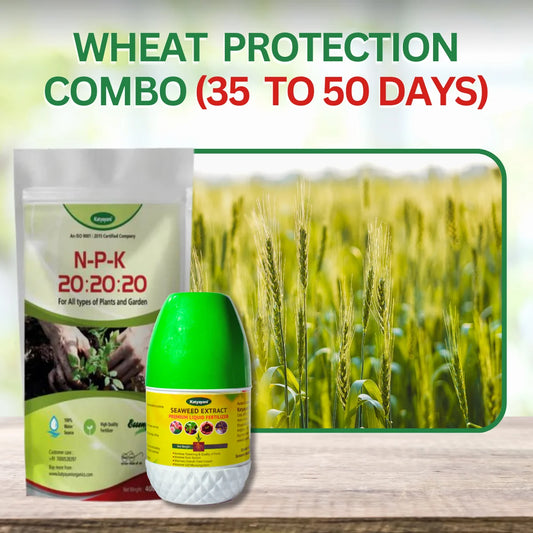 Katyayani  Wheat Protection Kit (35  to 50 days)- Seaweed Extract liquid-(250ml x 1)+  NPK 20 20 20(1kg x 1)