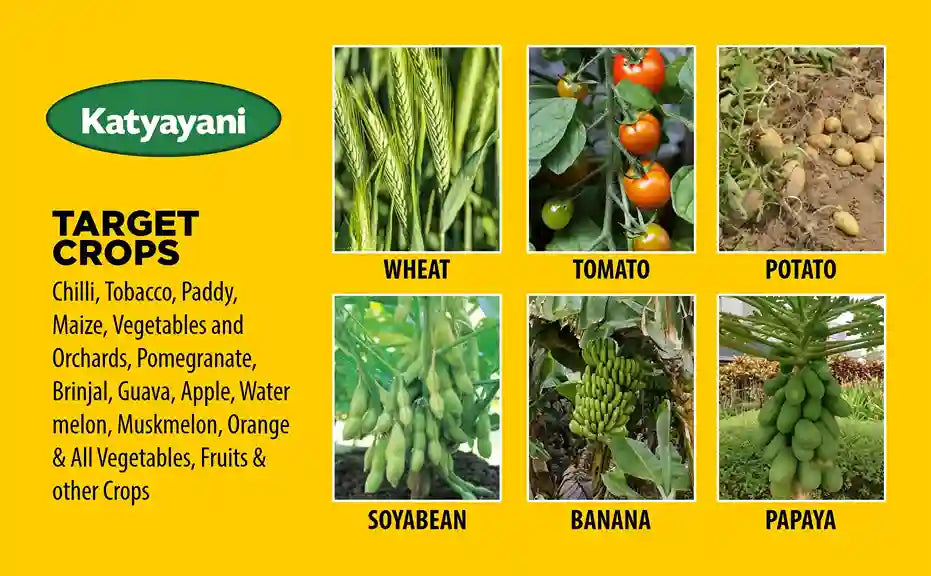 Katyayani Bacillus Subtilis Bio Fungicide for all crops