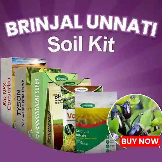 Katyayani Brinjal Unnati Soil Kit