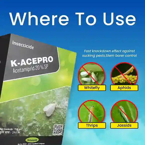 K- Acepro | Acetamiprid 20% sp | Chemical Insecticide for thrips, aphids, jassids