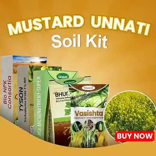 Katyayani Mustard Unnati Soil Kit