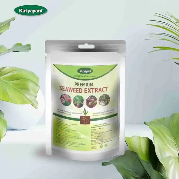 Katyayani Seaweed Extract| Fertilizer