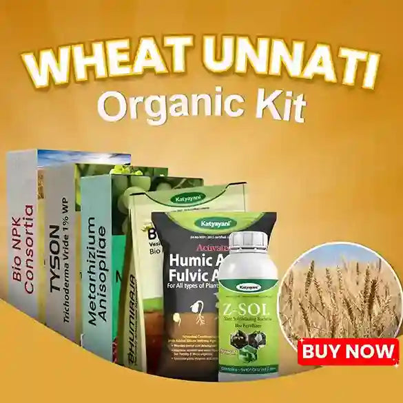 Katyayani Wheat Unnati Organic Kit