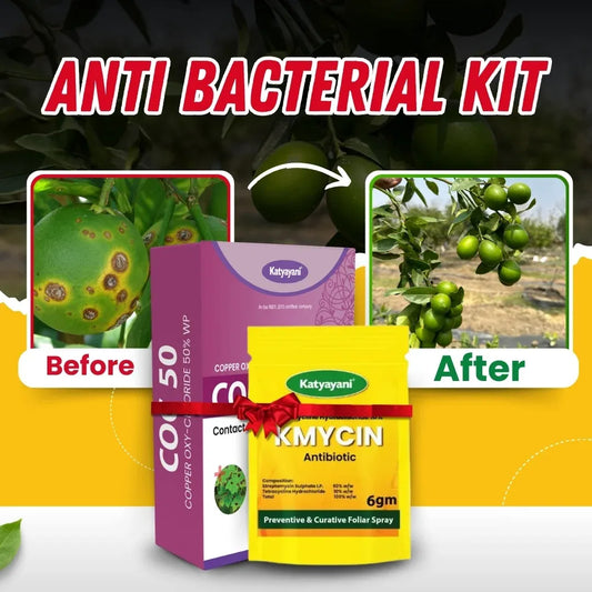 Katyayani Anti Bacterial Kit