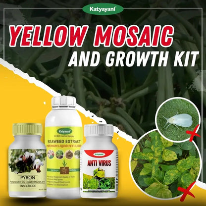 Katyayani Yellow Mosaic and Growth Kit