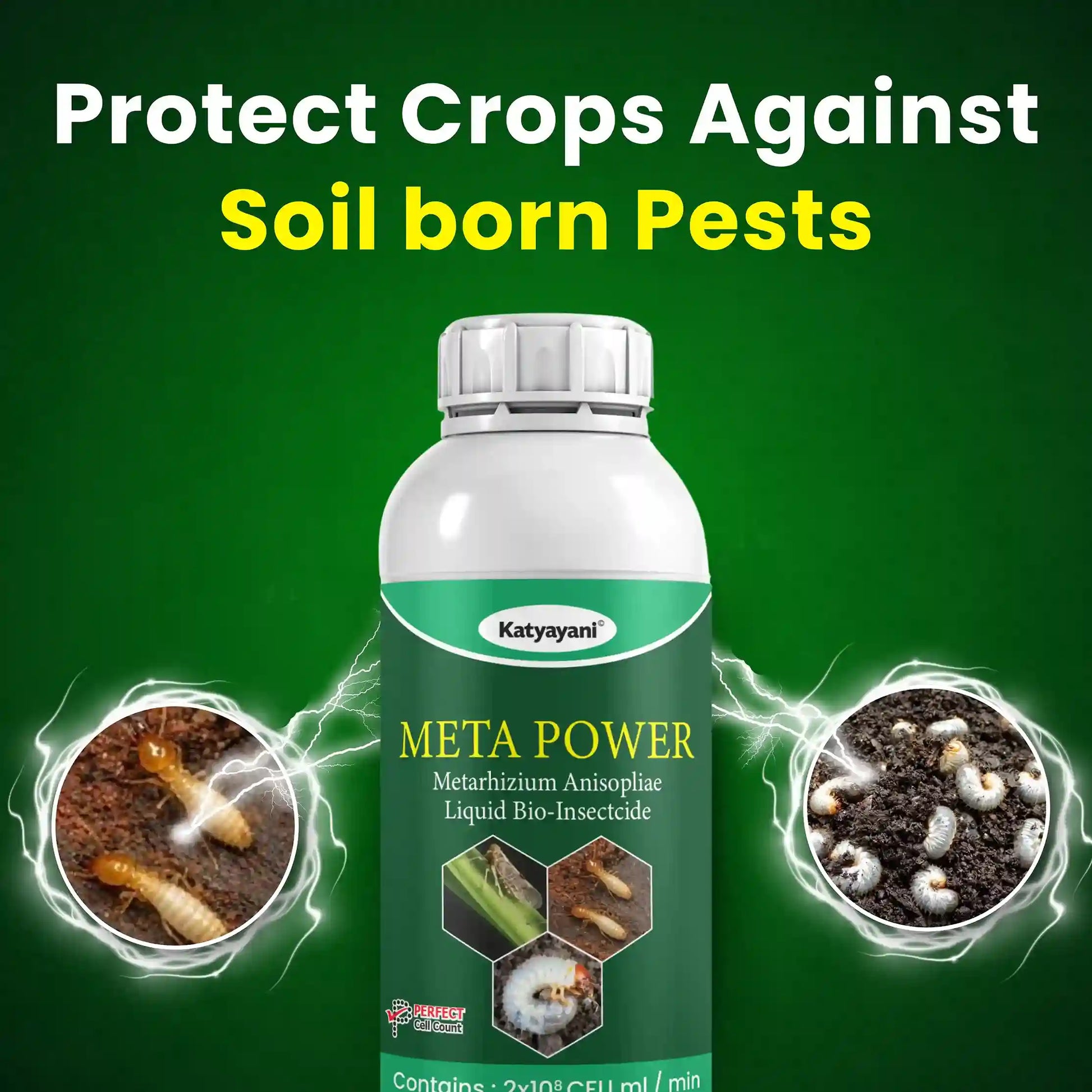 Katyayani Meta Power | Metarhizium Anisopliae | Liquid Bio Insecticide