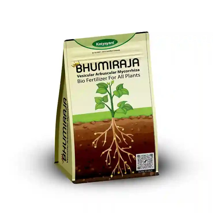 KATYAYANI BHUMIRAJA (MYCORRHIZA FERTILIZER)