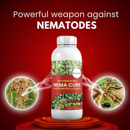 Katyayani Nema Cure | Paecilomyces Lilacinus | liquid Bio Nematicide