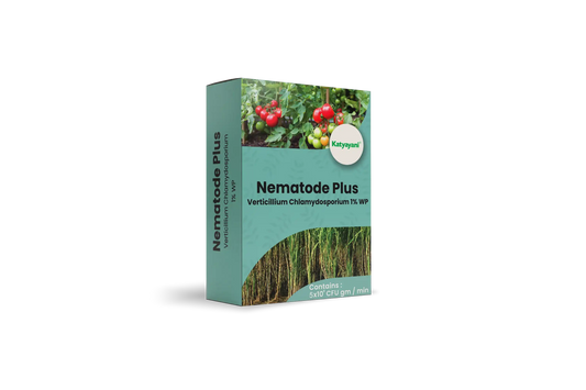 KATYAYANI NEMATODE PLUS | VERTICILLIUM CHLAMYDOSPORIUM 1% WP