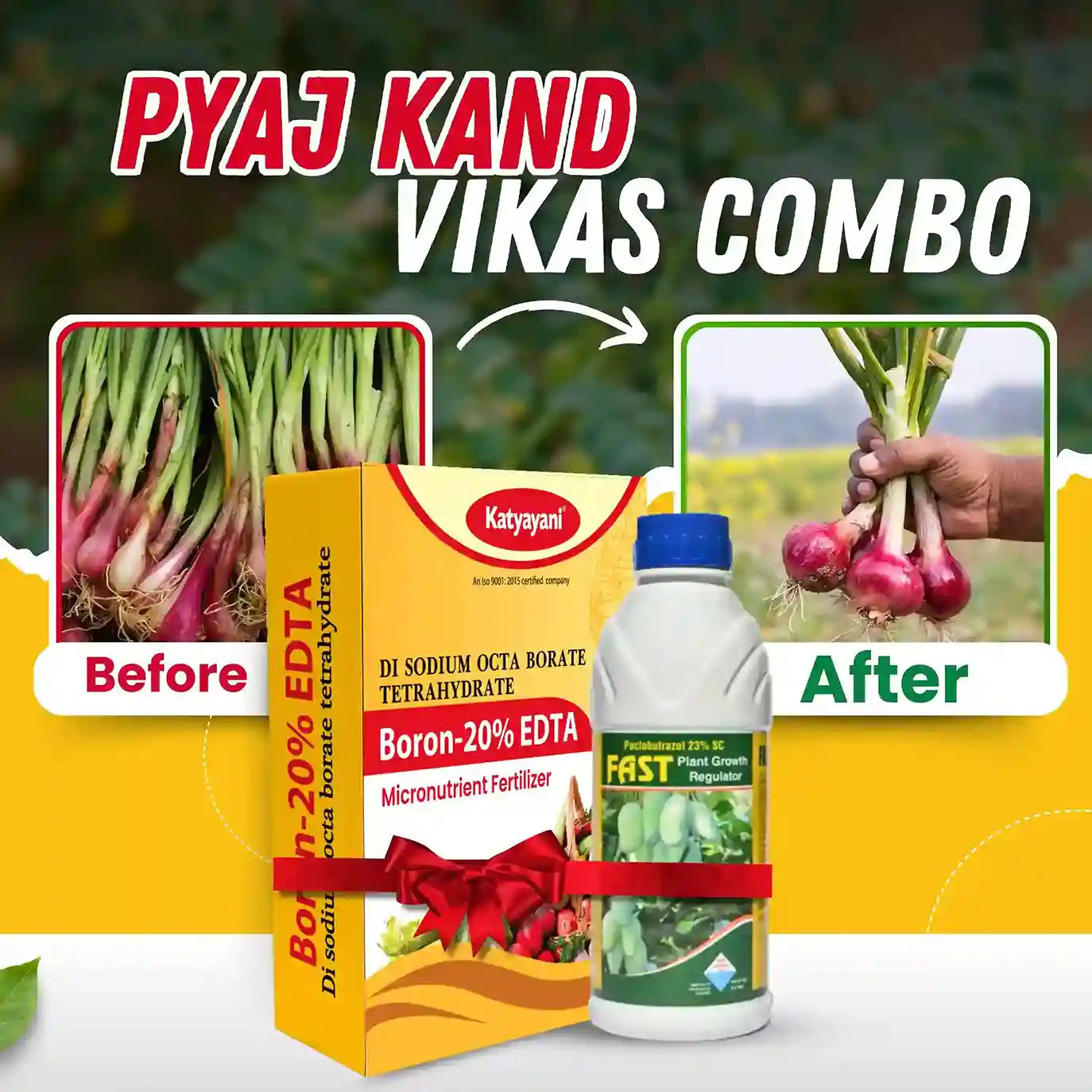 Katyayani Onion - Pyaj Kand Vikas Combo | Onion bulb growth booster