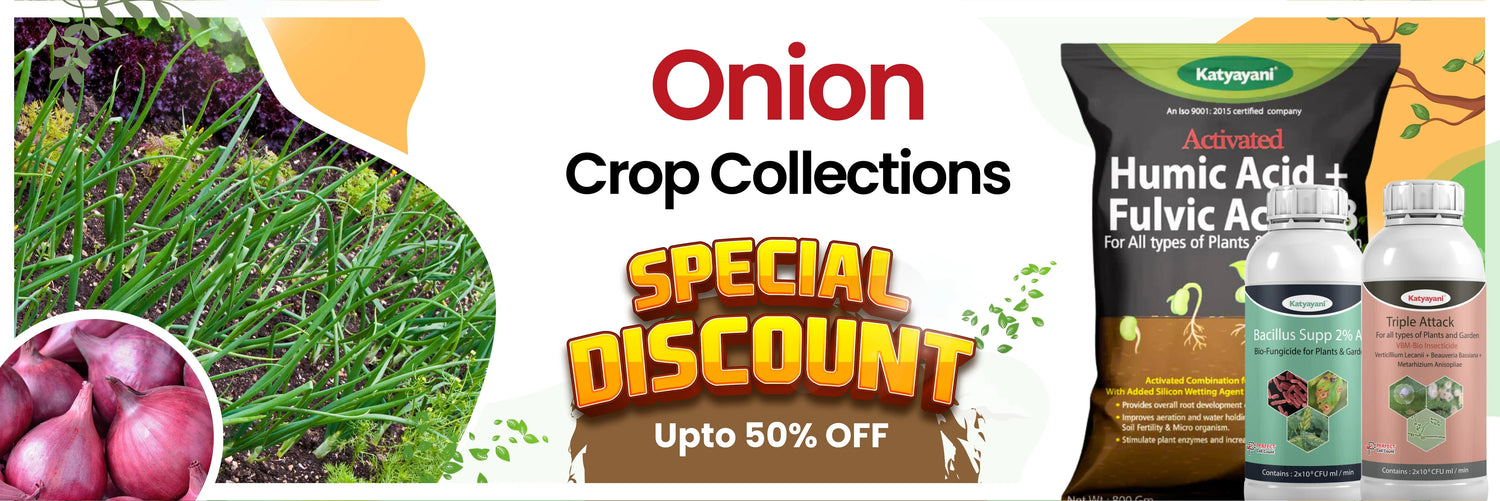 Onion crop collection