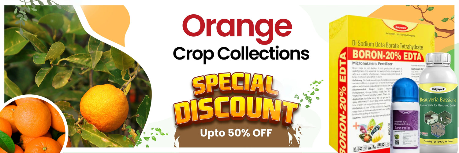 orange crop collection