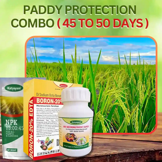 PADDY PROTECTION COMBO 45 TO 50 DAYS NPK 13 00 45 (970 gm),MIX MICO NUTRIENT (100 gm x 1), BORON (250 gm x 1)