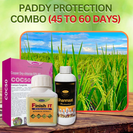 "PADDY PROTECTION COMBO ( 45 TO 60 DAYS )BHANNAT(250 ml x 1), FINISH IT(100 ml x 2),COC 50(250gm x 4) "