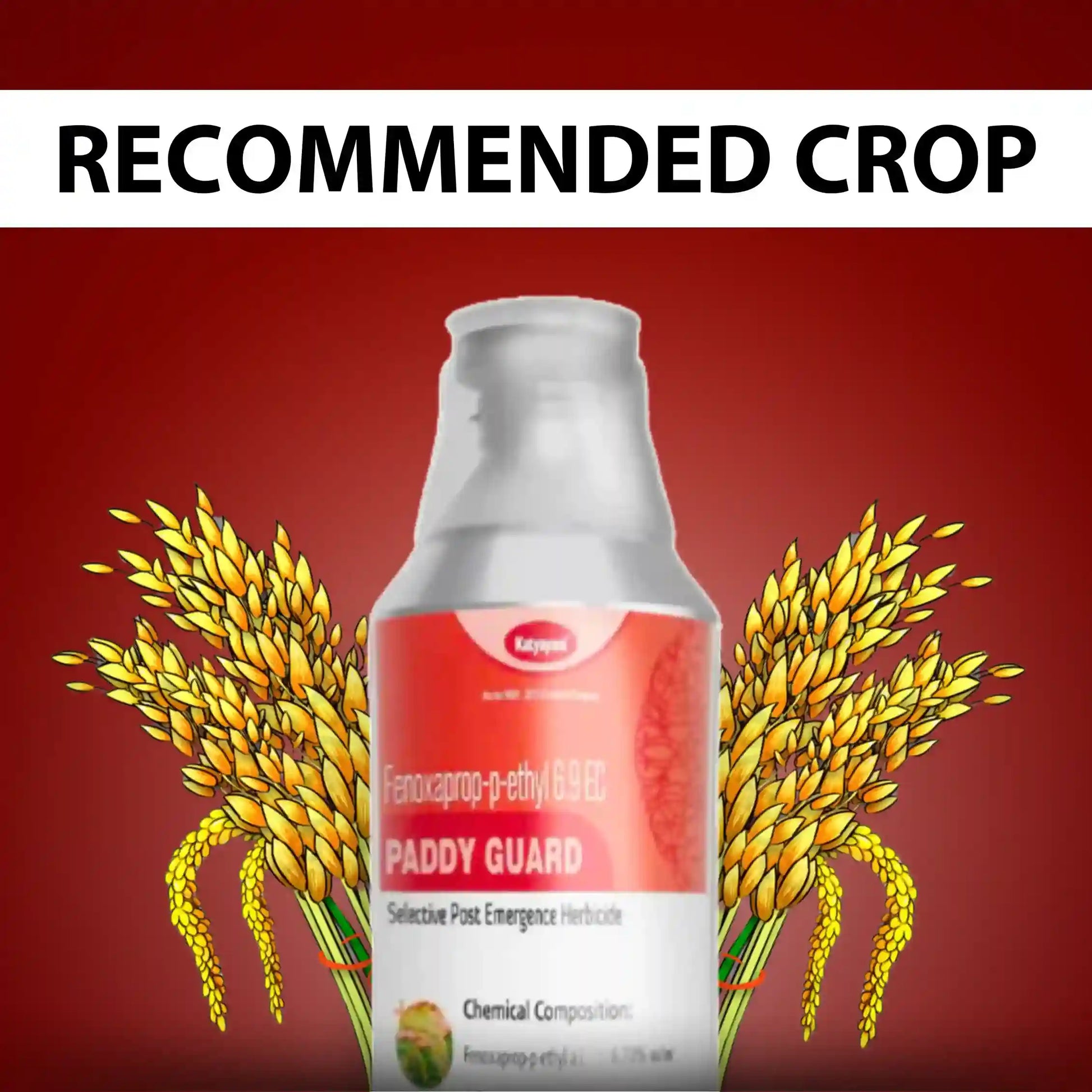 Katyayani Paddy Guard | Fenoxaprop-p-ethyl 6.9% EC | Chemical Herbicides for paddy