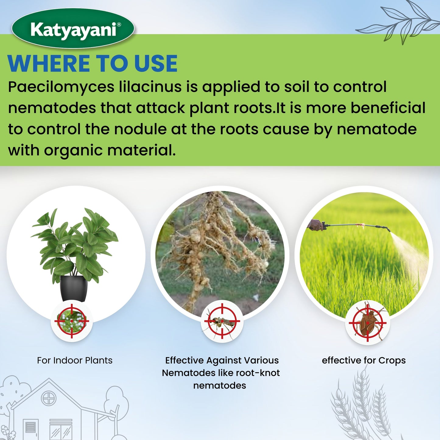 Katyayani Paecilomyces Lilacinus Bio nematicide for indoor plants and crops 